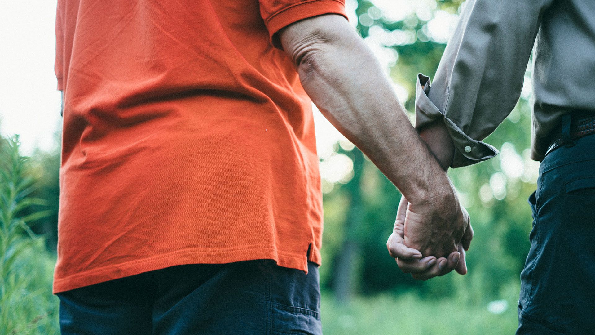 Close up photo of two men holding hands. A blurry, green, outdoors landscape is visible behind them.